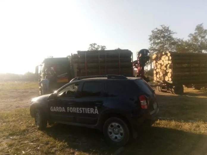 Transport ilegal de lemn, depistat de Garda Forestieră