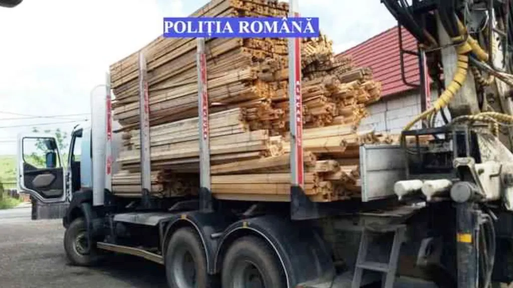 7 autovehicule, 10 atelaje hipo și tone de lemne, confiscate de polițiști