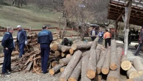 Firmă din Bicaz, amendată cu 5.000 pentru 10 m.c. de lemn fără acte