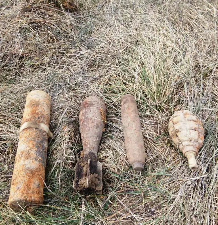 Bombe descoperite pe pășunea din Răucești
