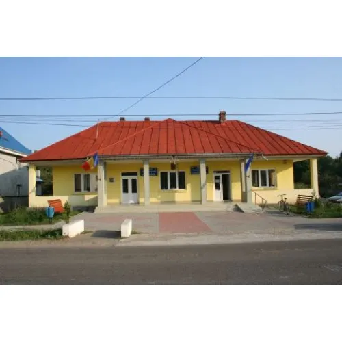 Consilier local PSD din Borlești, rămas fără mandat