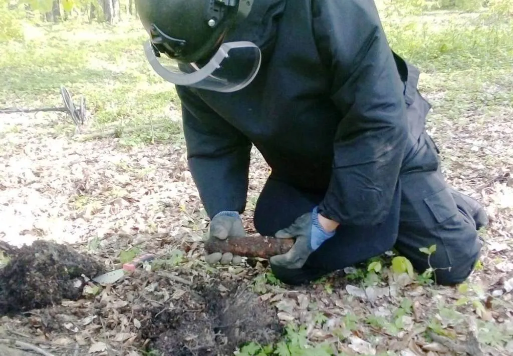Zeci de proiectile explozive și cartușe, descoperite într-o pădure din Neamț (FOTO)