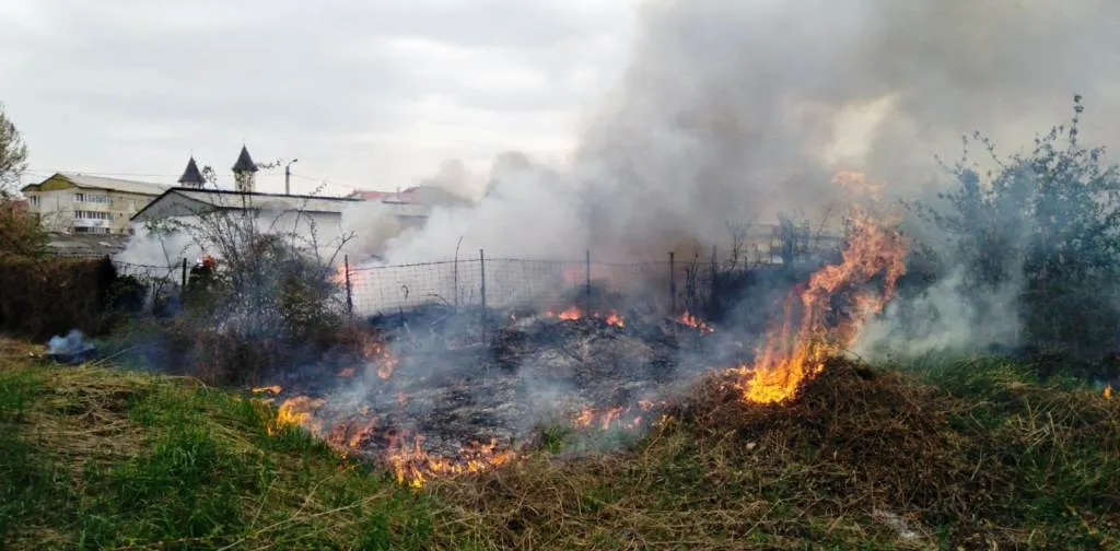 Incendiu într-o zonă cu deșeuri de pe strada Muncii (FOTO)