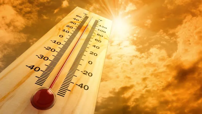 DSP Neamț, recomandări pentru perioada cu temperaturi ridicate