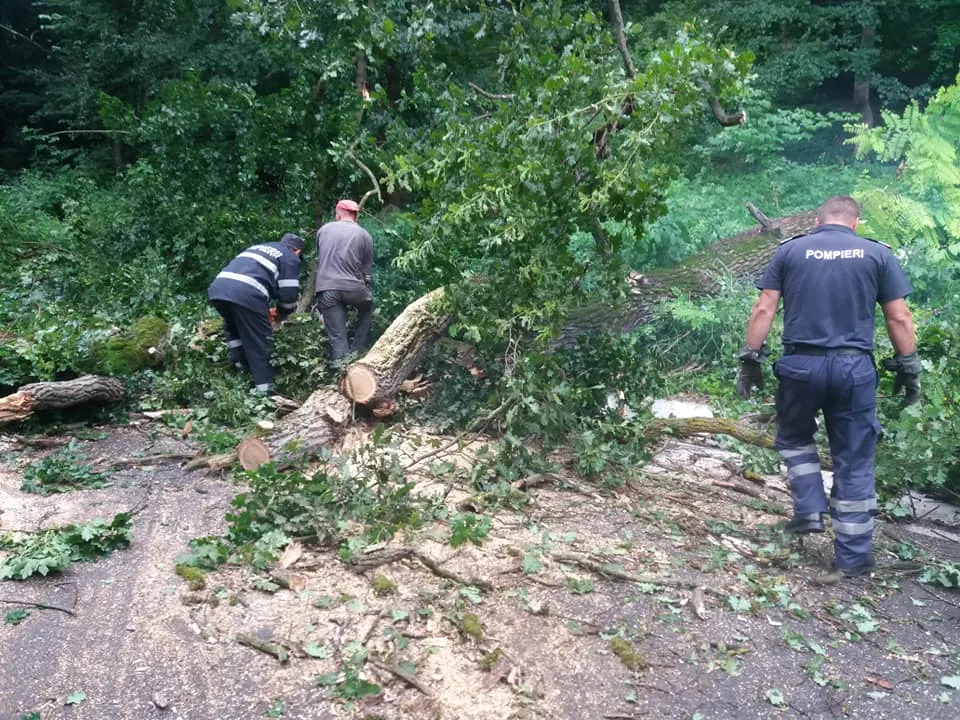 Un copac rupt de furtună a blocat circulația pe ambele sensuri (FOTO)