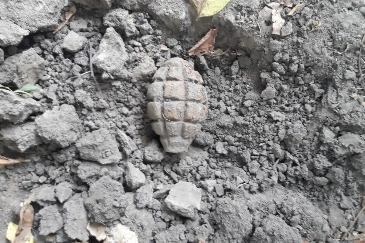 Grenadă găsită într-o curte din Bodești