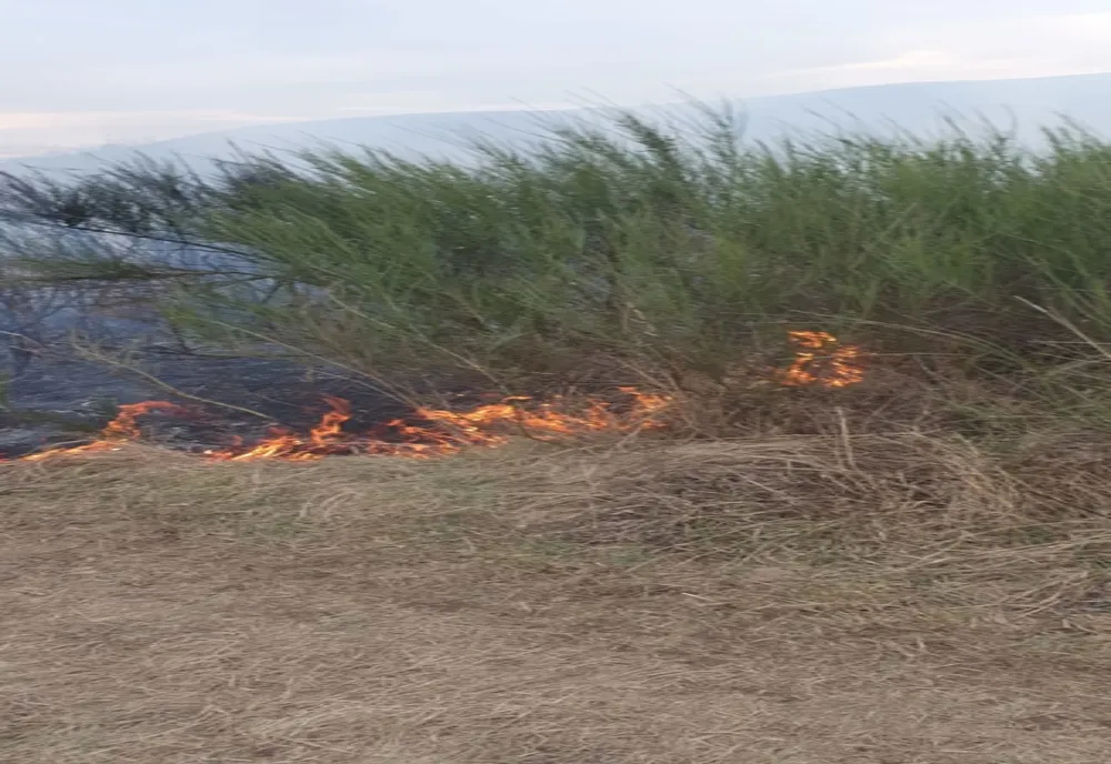 Weekend-ul incendiilor de vegetație uscată. Zeci de hectare făcute scrum (FOTO)