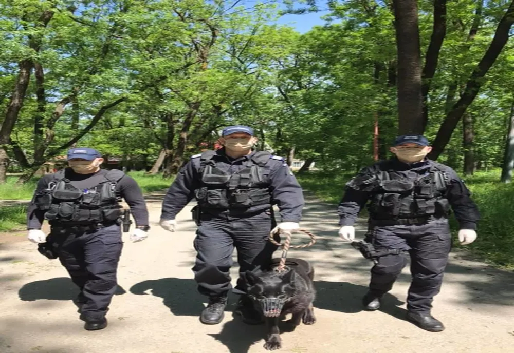 35 de sancțiuni contravenționale aplicate de jandarmii nemțeni  în perioada minivacanței de Rusalii