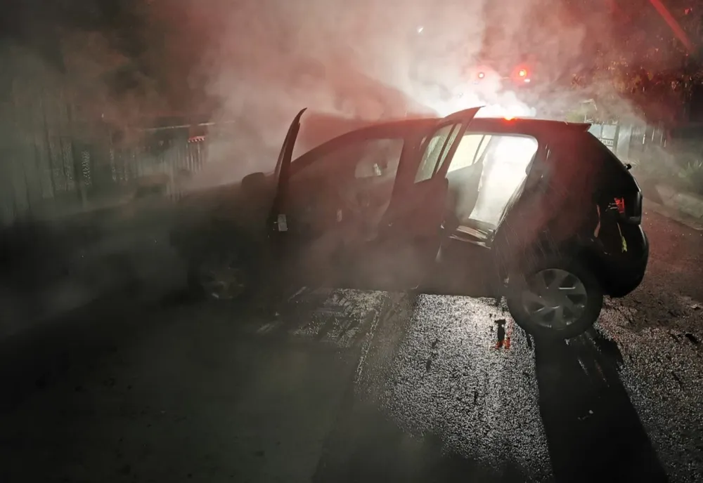 Mașină distrusă de foc, la Dulcești (FOTO)