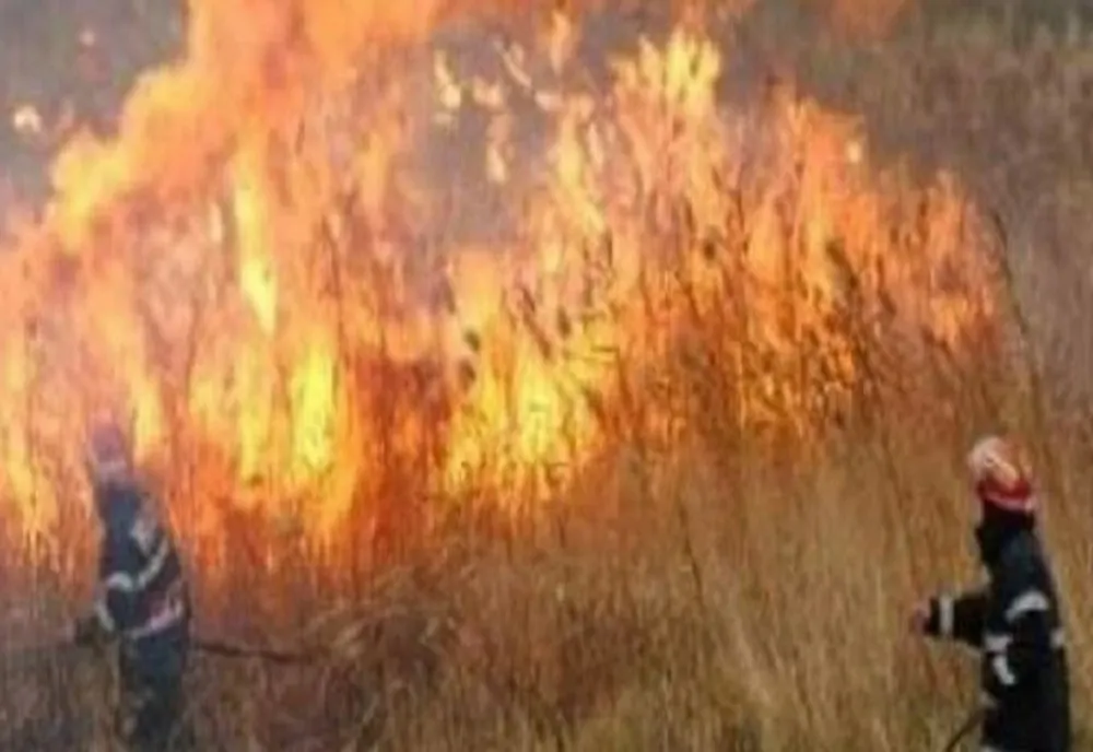 Misiune de stingere a unui incendiu produs la vegetaţia uscată în comuna Pâncești  
