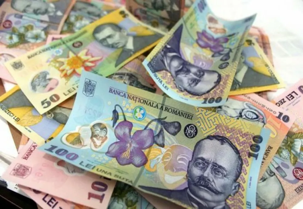 Plățile pentru Măsura 2 – Granturi pentru capital de lucru vor începe imediat ce Bugetul 2021 este aprobat
