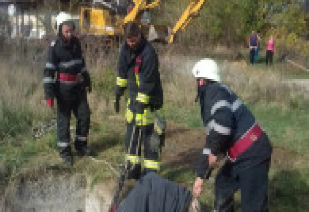 Și-a găsit sfârșitul într-o fosă plină cu apă