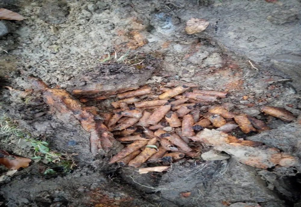 Descoperire periculoasă pe islazul comunei Tarcău