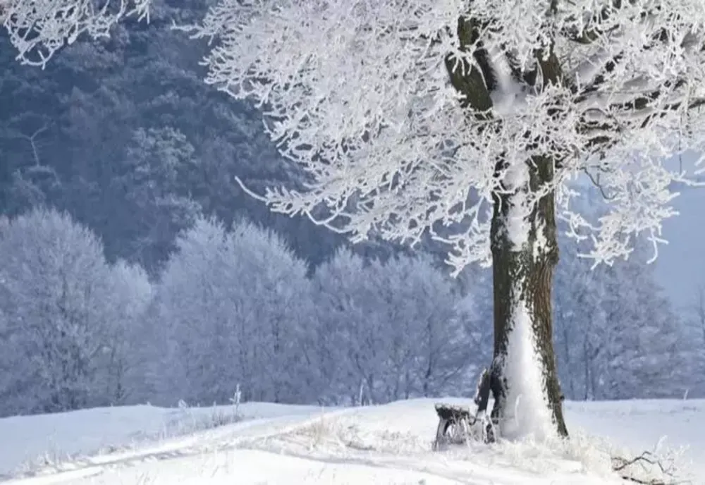 Prognoza meteo 7 martie. Strat nou de zăpadă, în majoritatea regiunilor - maximele abia ating 6 grade Celsius