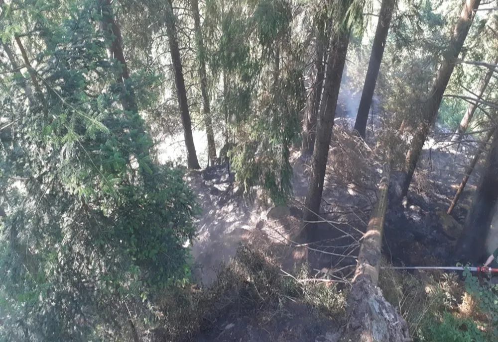 Incendiu la un fond forestier din comuna Borca