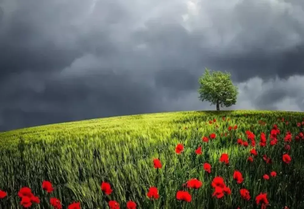 Prognoza meteo 13 iunie: vreme instabilă - temperaturile urcă la 31 de grade