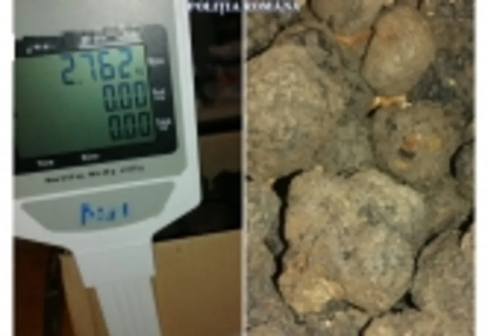 Sezonul recoltatului ILEGAL de trufe negre. Doi bărbați, amendați