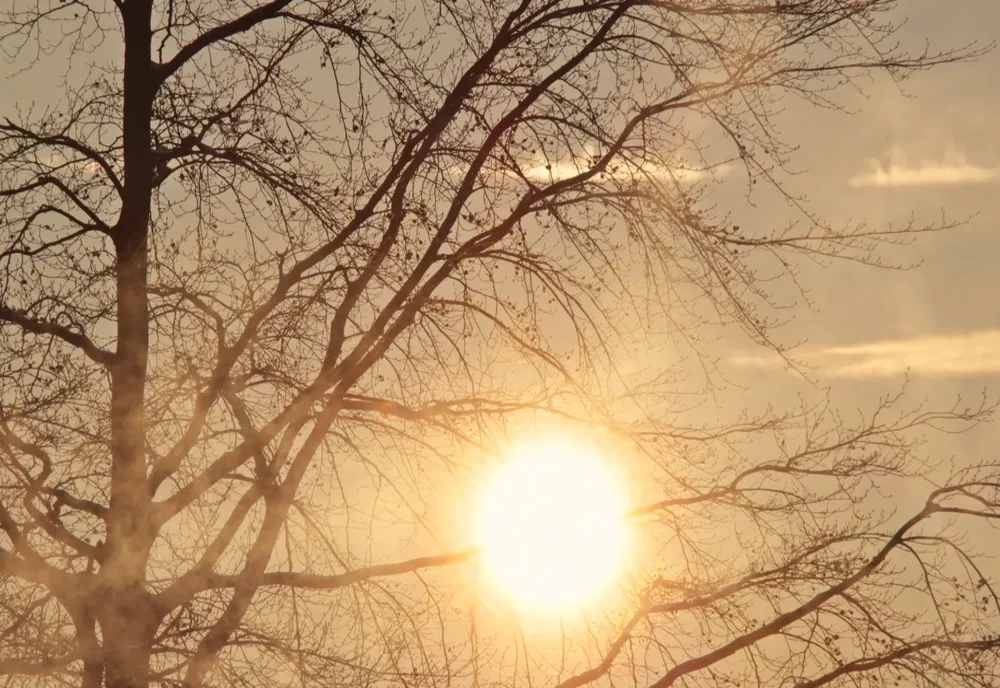 Prognoza meteo 23 decembrie. Temperaturi peste normalul perioadei - maximele sar la 13 grade