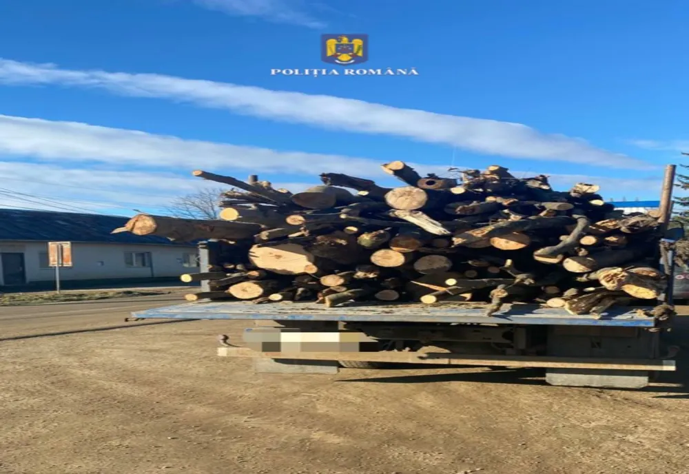 Transporta material lemnos fără documente, având montate plăcuțe ce aparțineau altui vehicul