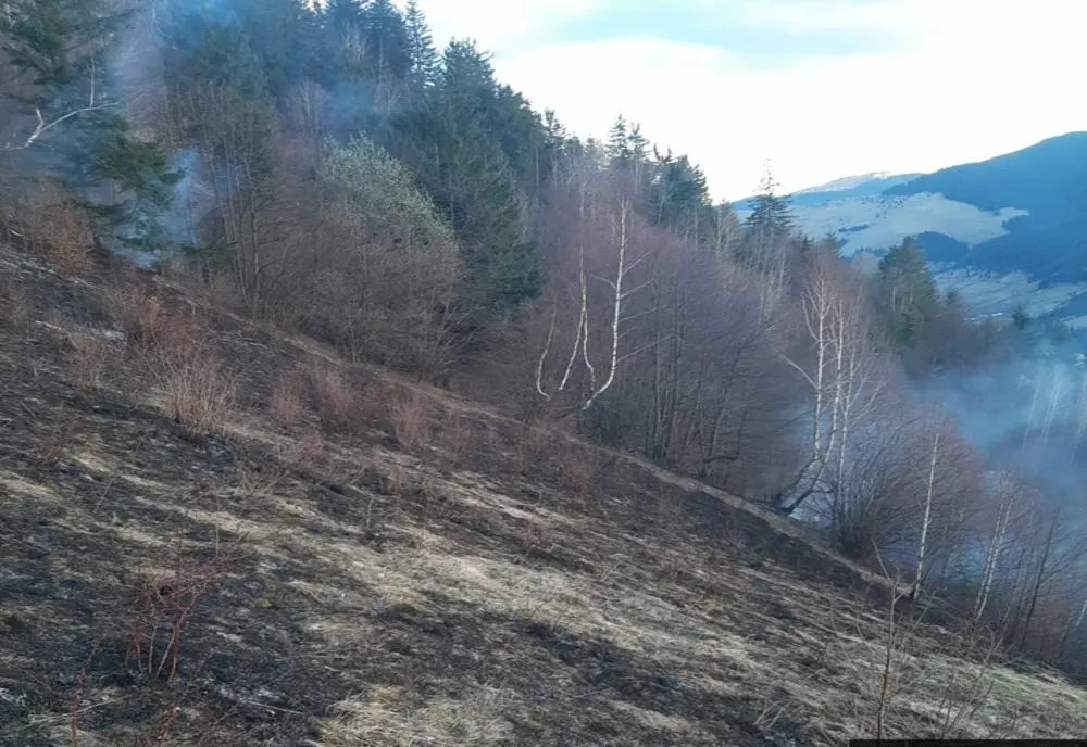 10 hectare de vegetație au ars la Borca