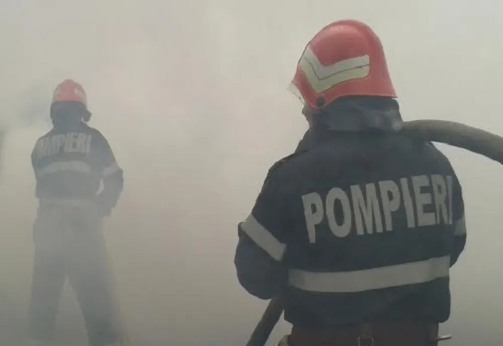 Incendiu la o stână din Neamț