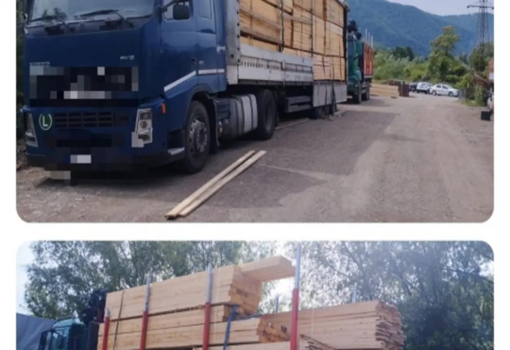 Material lemnos și ansamblu de vehicule indisponibilizate de polițiști