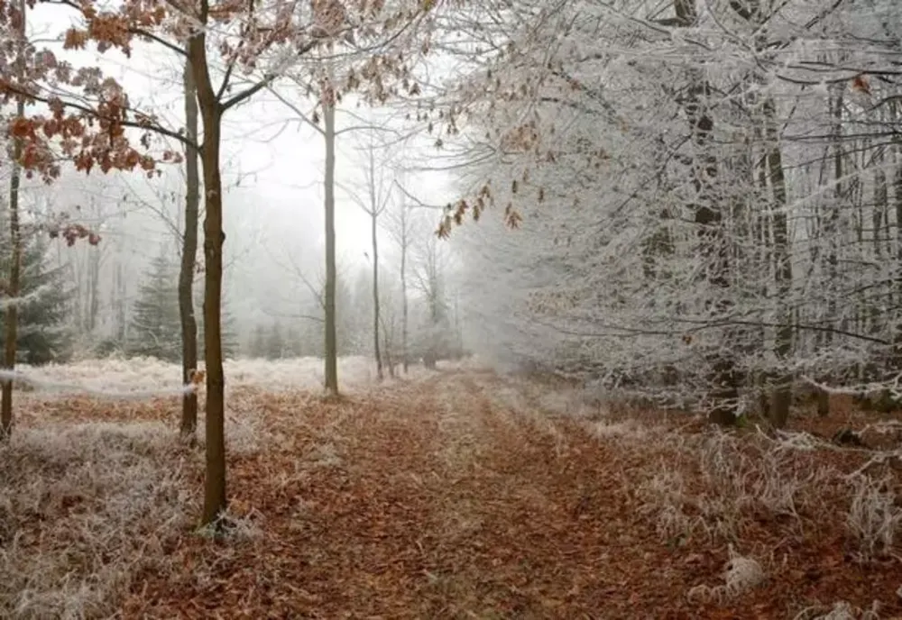 VREMEA 5 DECEMBRIE. VREME ÎNCHISĂ ÎN TOATĂ ȚARA