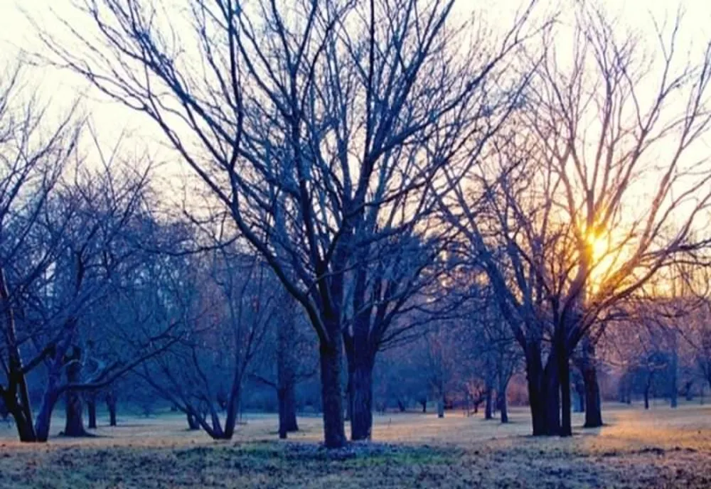 VREMEA 9 IANUARIE. TEMPERATURILE RĂMÂN NEOBIȘNUIT DE RIDICATE 