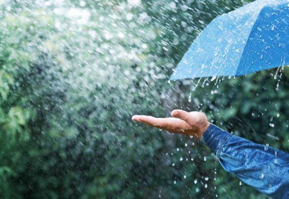 VREMEA 13 MARTIE. TEMPERATURI PESTE NORMALUL PERIOADEI