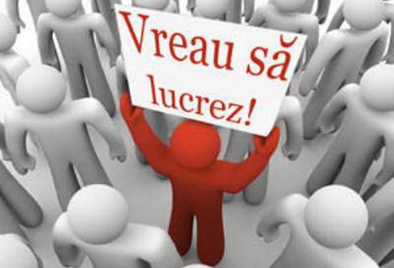 64 locuri de muncă vacante NOI în Piatra-Neamț