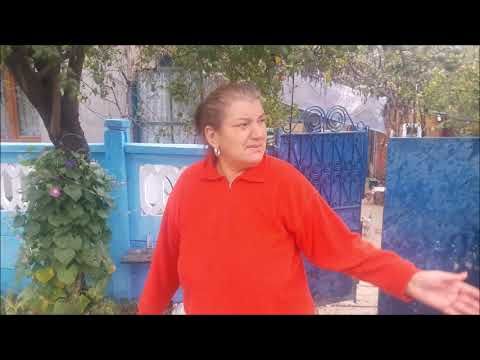 Draga Olteanu Matei, aniversată de polițiștii nemțeni (FOTO-VIDEO)