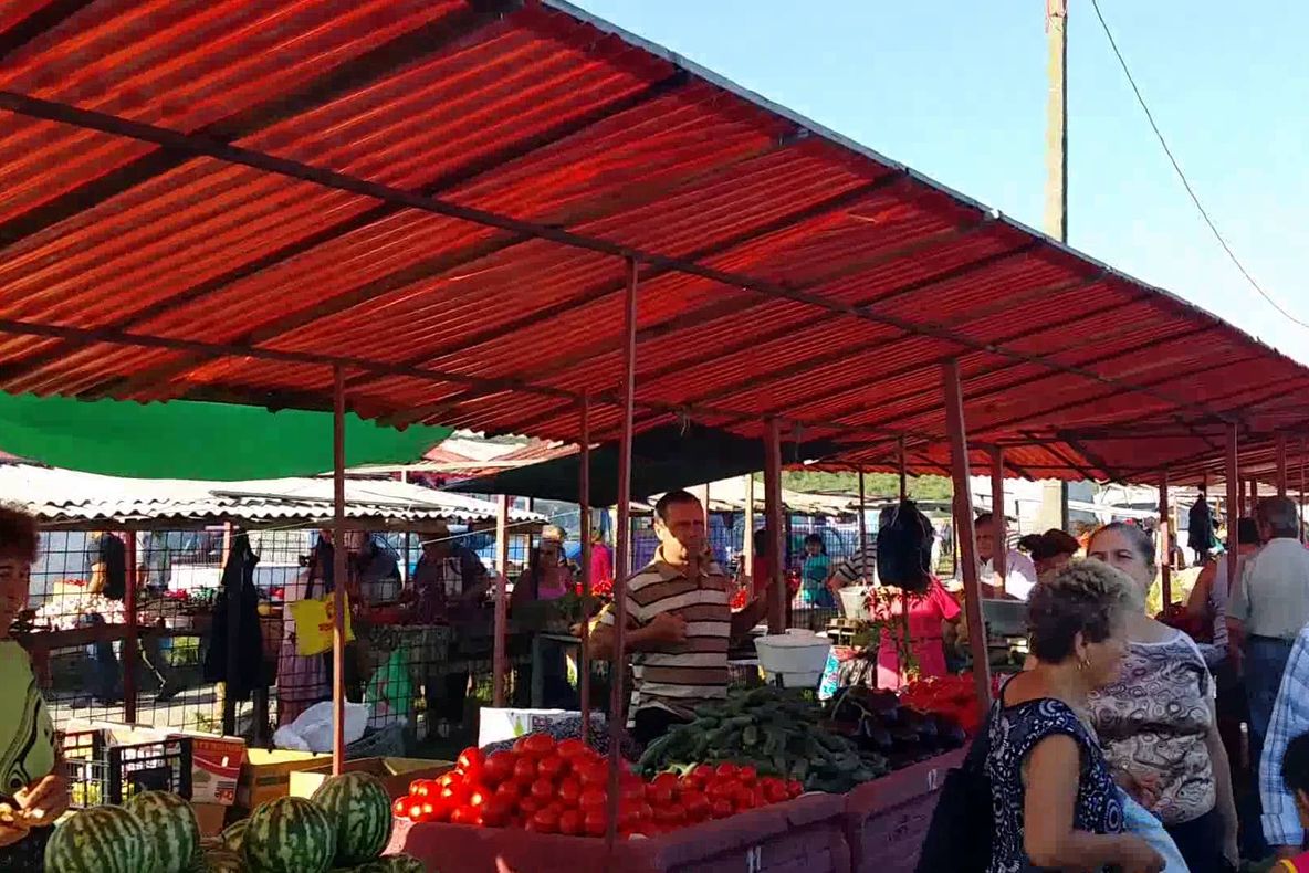 Premierul Viorica Dăncilă, vizită în Neamț (FOTO-VIDEO)
