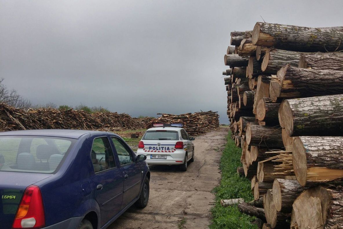 Amenzi de peste 24.000 lei și masă lemnoasă confiscată după controalele polițiștilor