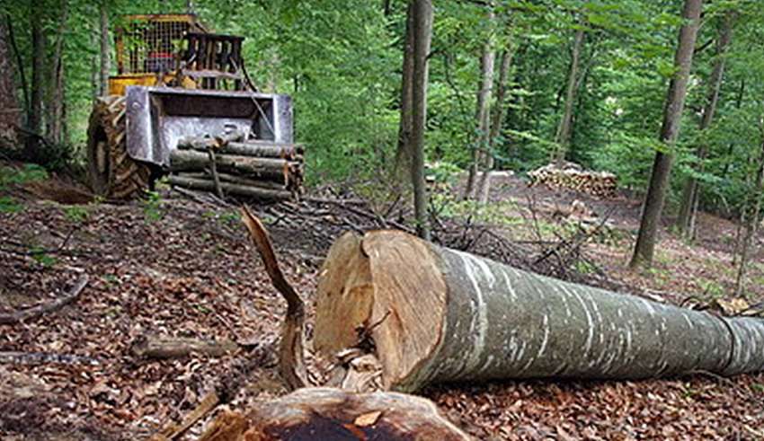 3 accidente de muncă soldate cu deces într-o lună, în Neamț