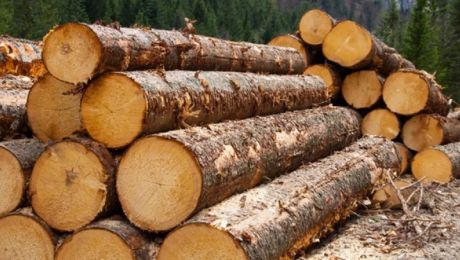 Trei firme, amendate cu aproximativ 500.000 euro pentru trucarea unei licitații