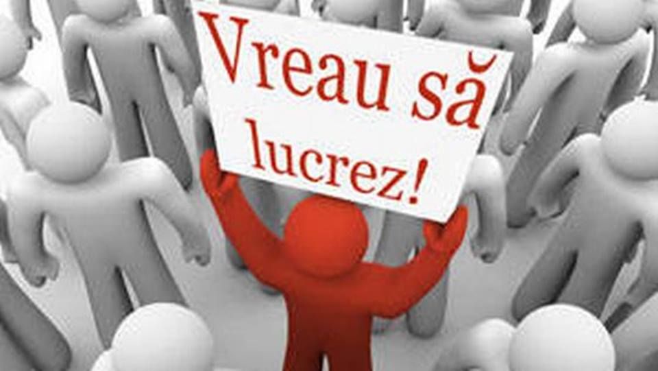 Care sunt locurile de muncă NOI apărute la AJOFM Neamț. Vezi lista