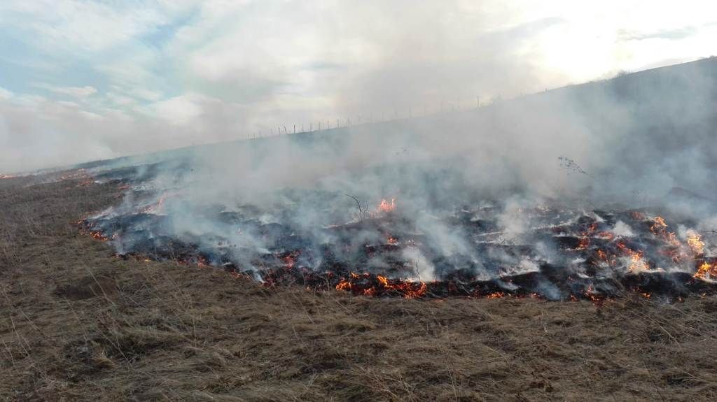 13 hectare de vegetație, mistuite de flăcări. Recomandările pompierilor