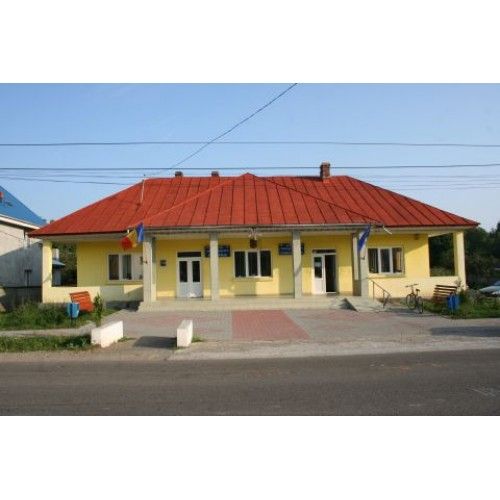 Consilier local PSD din Borlești, rămas fără mandat