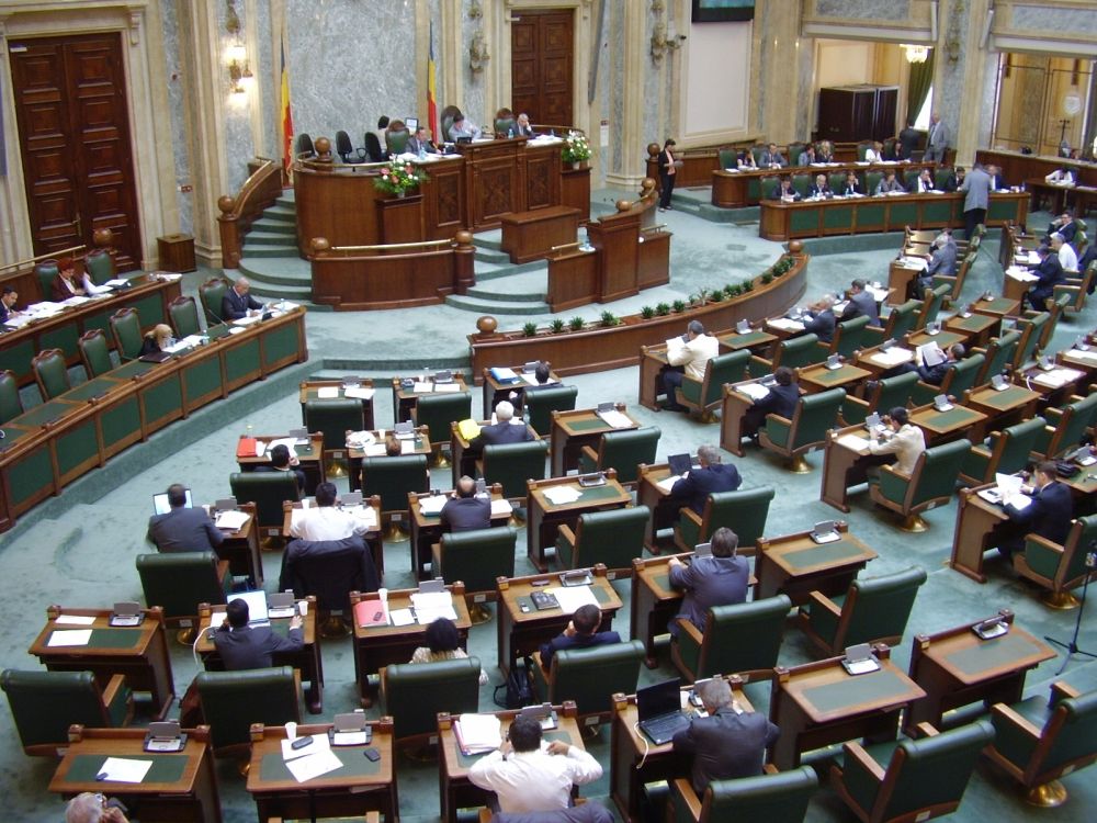 Cei doi senatori PSD de Neamț au votat împotriva creșterii alocațiilor copiilor