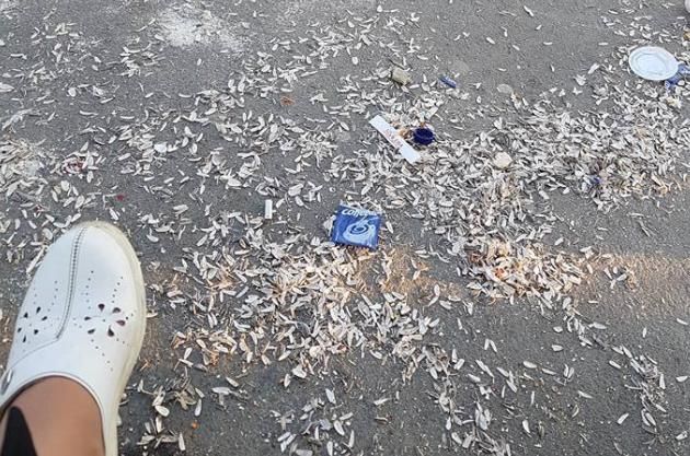 ”Spărgătorii de semințe”, ”sparți” cu amenzile, la Roman