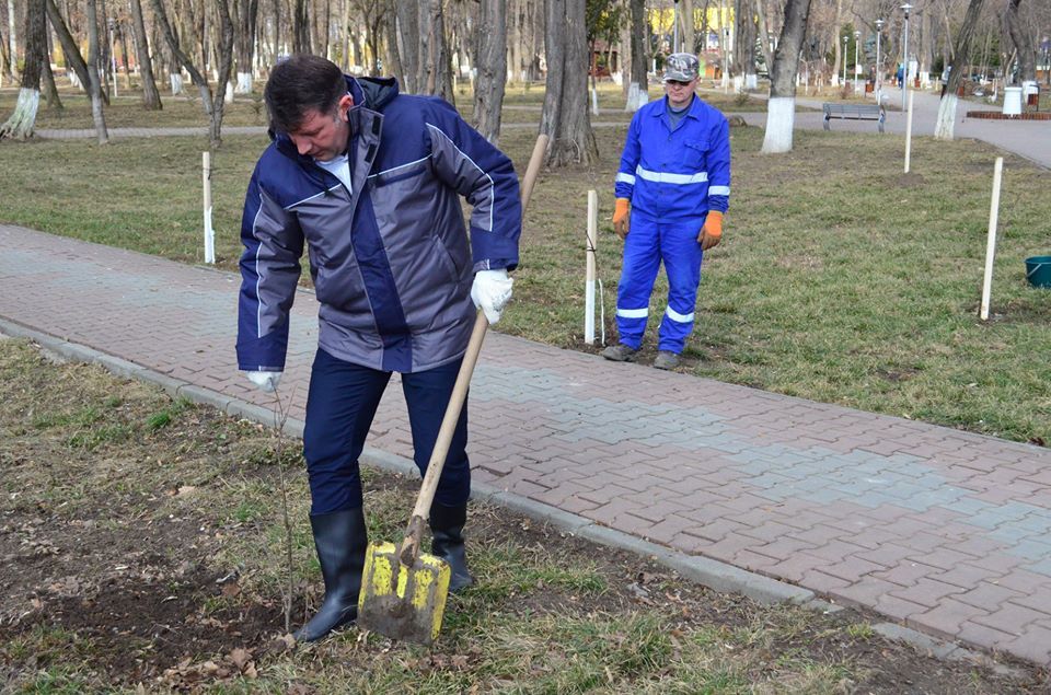 100 de puieți de stejar, plantați în Parcul Municipal Roman