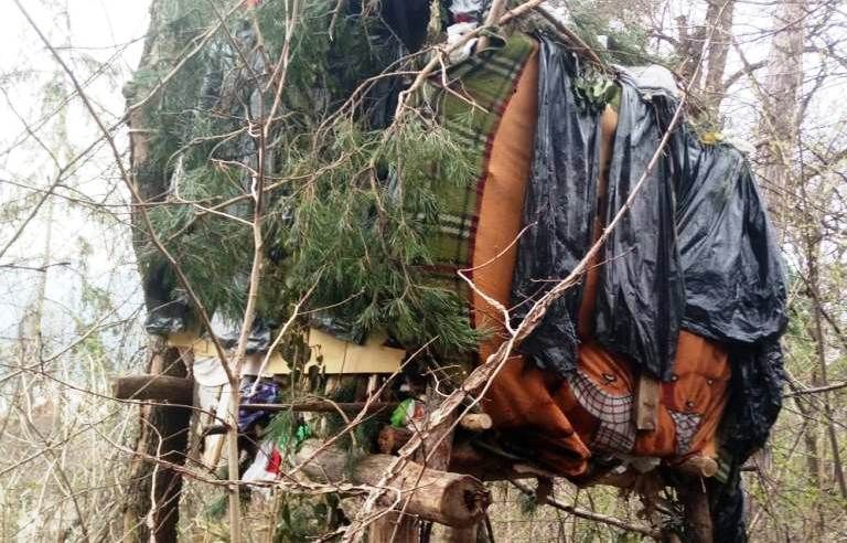 Locuiau într-o colibă în copac (FOTO)