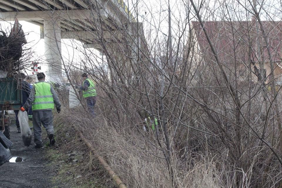 Concursul ”Romanul, curat şi verde” a ajuns la ediția a X-a