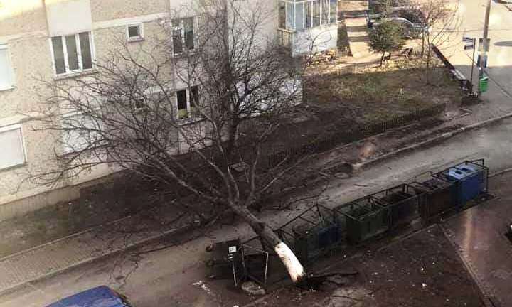 Vântul a creat probleme în Piatra-Neamț (FOTO)