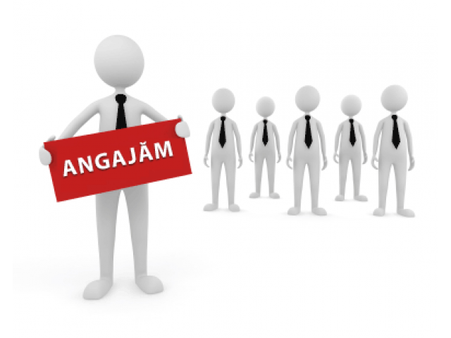 În Neamț se caută 15 croitori, 30 de dulgheri, 30 de sudori, 30 de zidari. Vezi lista completă a locurilor de muncă NOI