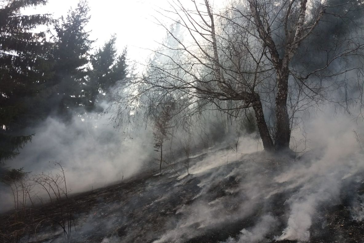 32 hectare de vegetație uscată, incendiate într-o singură zi (FOTO)
