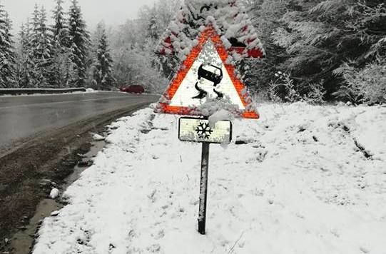 Ninge în Neamț. Vezi starea drumurilor din zona Moldovei (FOTO)