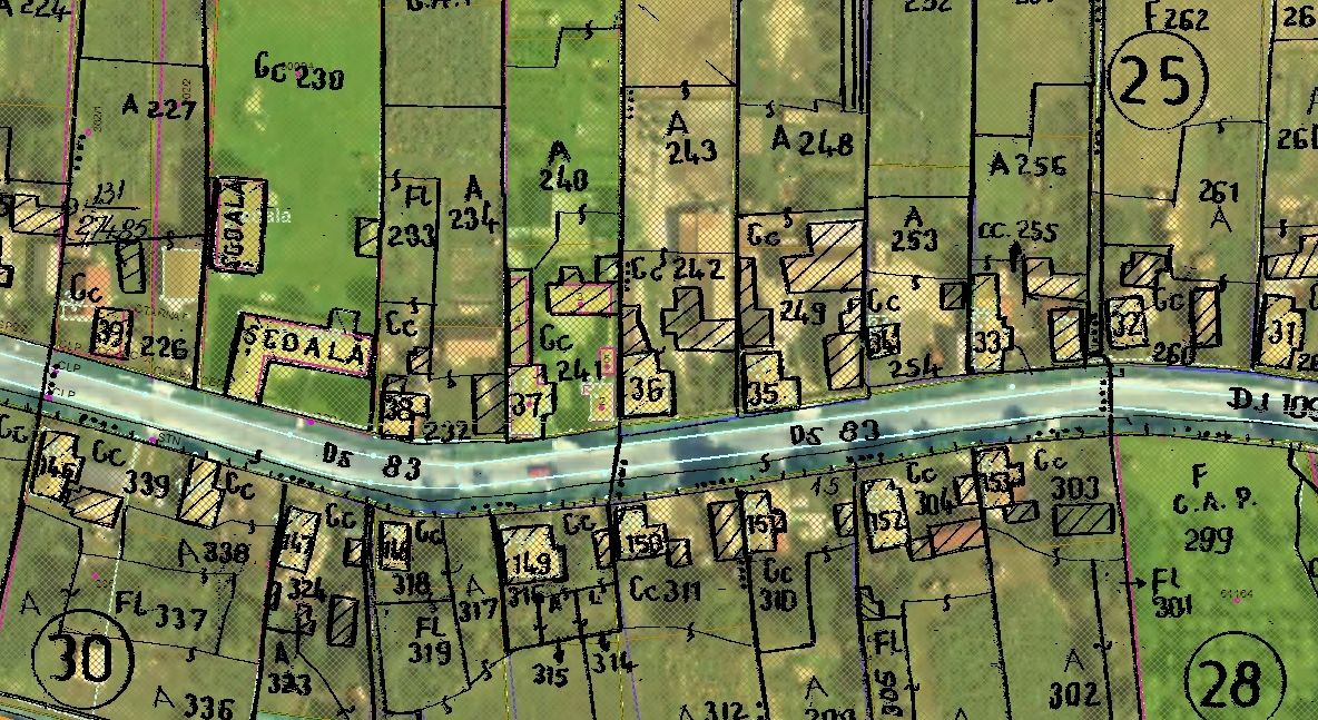 Licitaţie pentru înregistrarea imobilelor în sistemul de cadastru şi carte funciară pentru 5 comune din Neamț