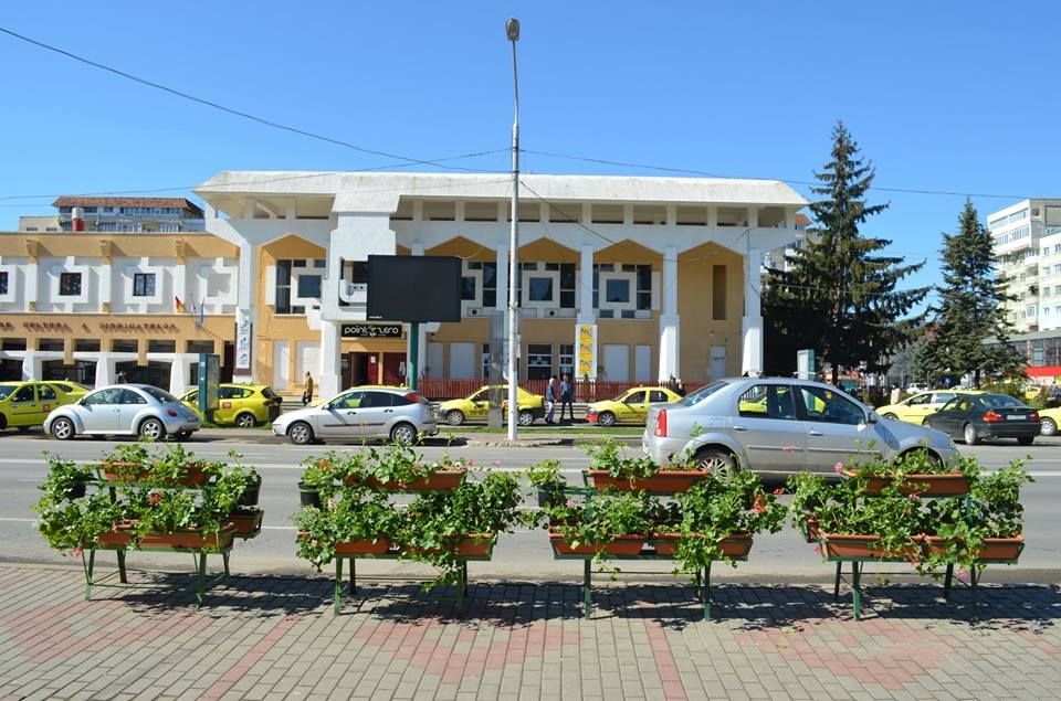 În Roman, se înlocuiesc jardinierele deteriorate