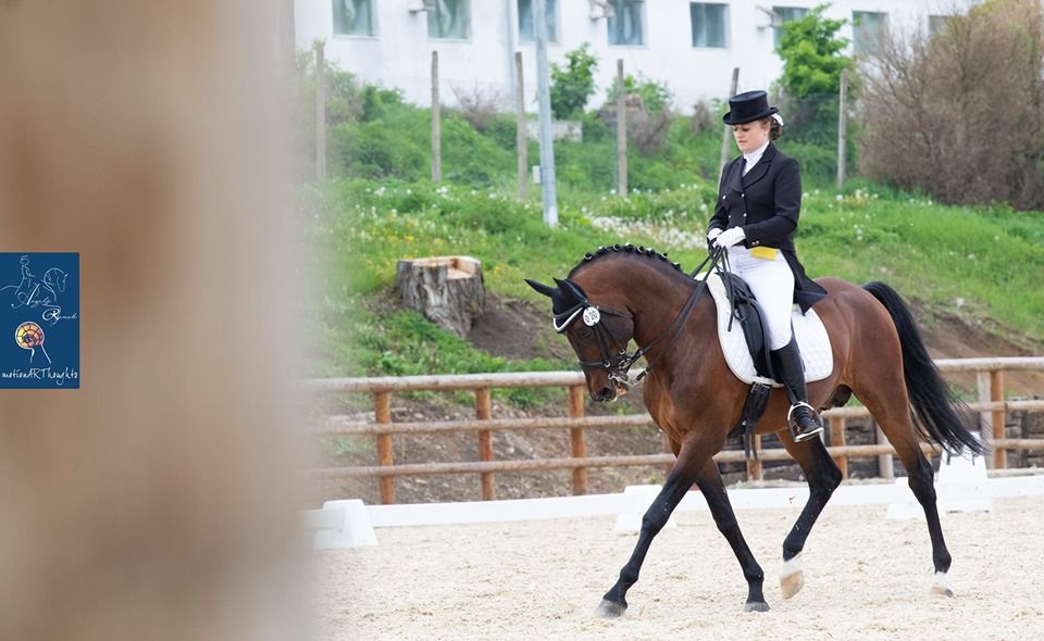 Anca Roman cu Sharif, locul întâi la un concurs național de dresaj al cailor (FOTO)
